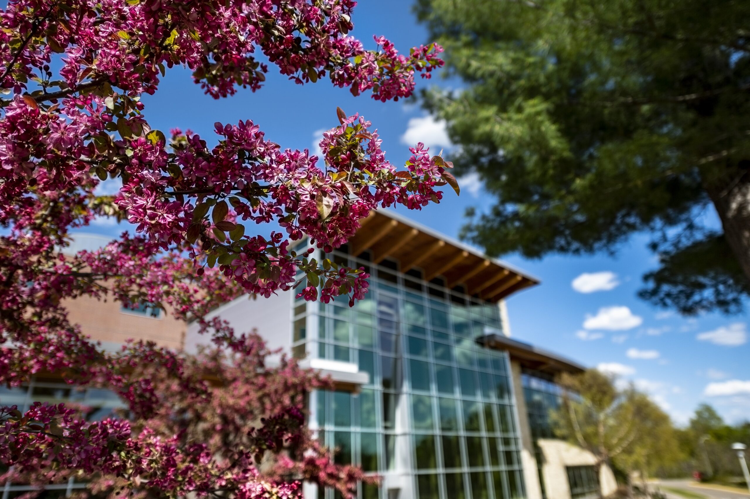 Spring campus scenes - 20210512_17 Spring campus scenes 20210512 17 scaled